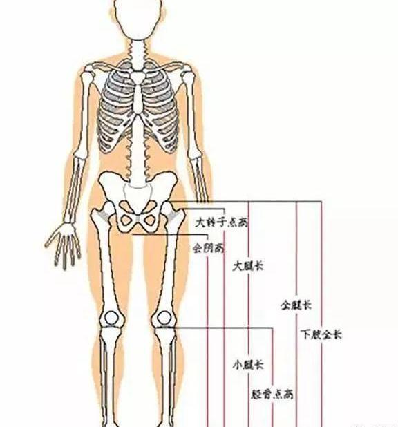 女爱豆那么多，凭什么她是“南韩第一腿精”？