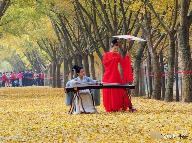 2019杏会邳州|巩伟鸣邳州美景摄影作品欣赏