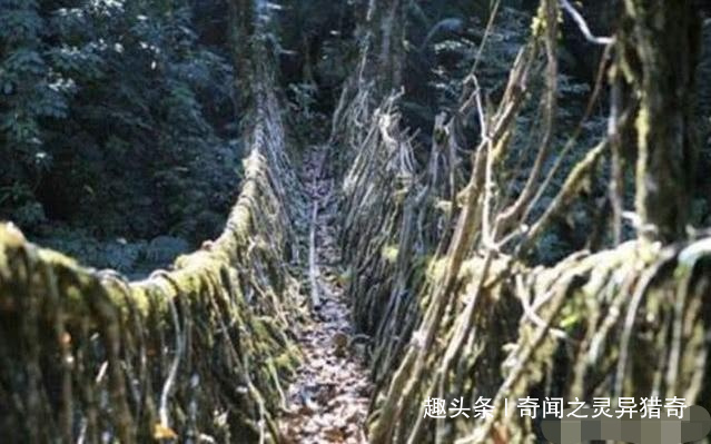 世界上最古怪的桥，至今已有500年历史，从不维修还越来越坚固