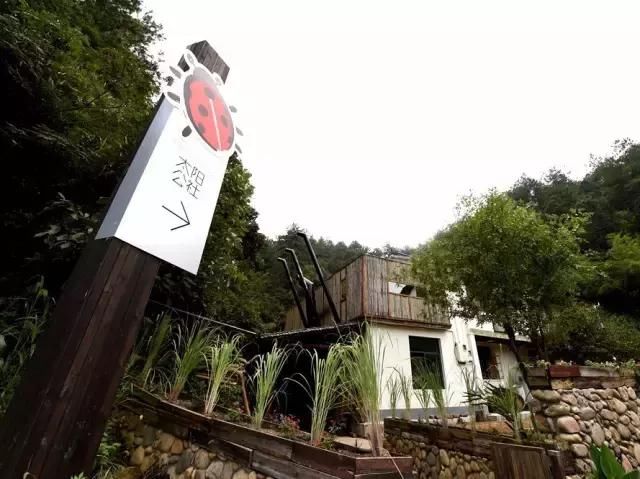 他在杭州打造了一个全中国最美的猪圈！纽约时报都报道了