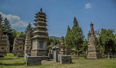 我国最大的一座古塔建筑群 是少林寺历代高僧的圆寂之地
