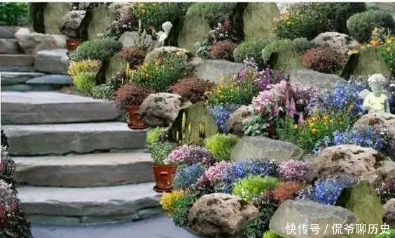 『花园』有一个多肉花园是一种怎样的体验