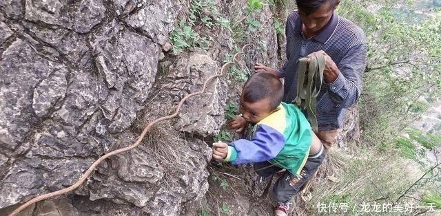 #钢梯#四川“悬崖村”不愿搬,获6亿资助后修建钢梯,如今变成咋样了?