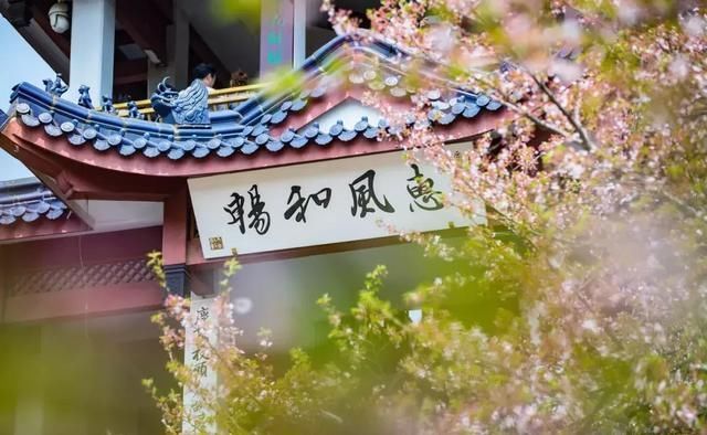 这几个地方景色太美还免费,网友大呼:辞职也要去看看