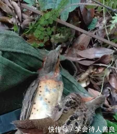  不到■农村以前经常打的“泥滑滑”，一般人绝对没见过！买不到