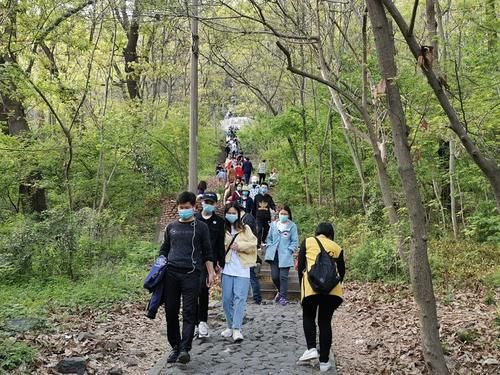  『果实』小小大蜀山，被合肥人玩出黄山的感觉，满山果实无人摘