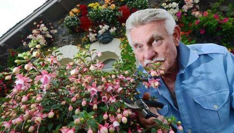 苏格兰一老人花16年时间，打造童话般花园，半夜经常听到拍照声