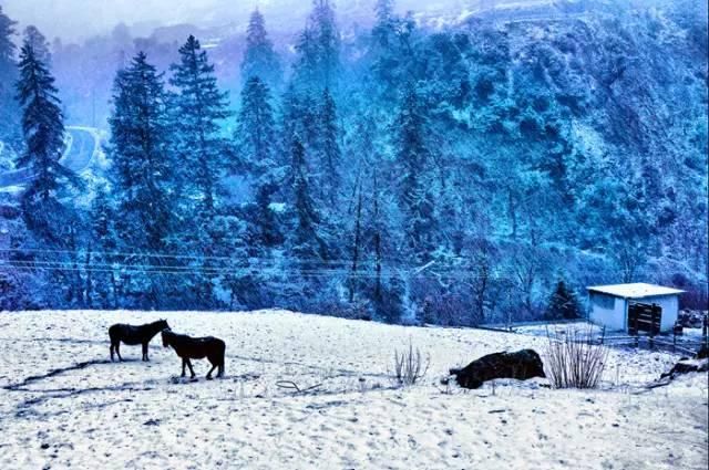 论雪景:看过来、不得不服川藏线