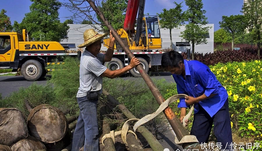  转型|在农村，想发家不能靠种地，这3行是赚钱“捷径”，想转型