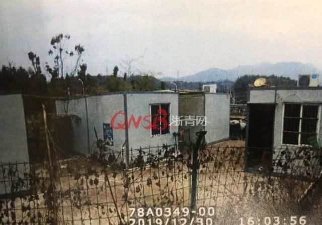 「顾女士」因家人反对养狗，浙江一男子为实现自己的养狗梦，选择“另辟蹊径”