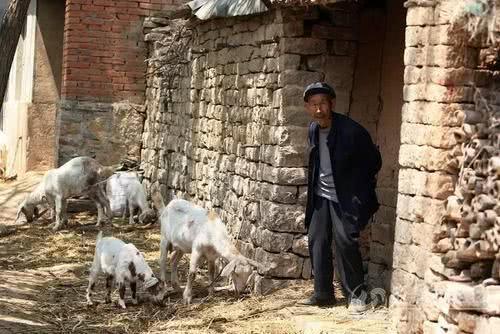  「几十块」还在为养老犯愁？农村又出一项政策，每个月领800元，