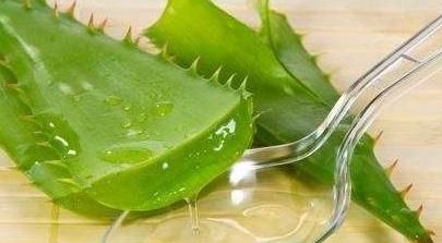  乌发@最养人的“2种植物”，既能吸甲醛，又能“乌发”，养1盆真值得！