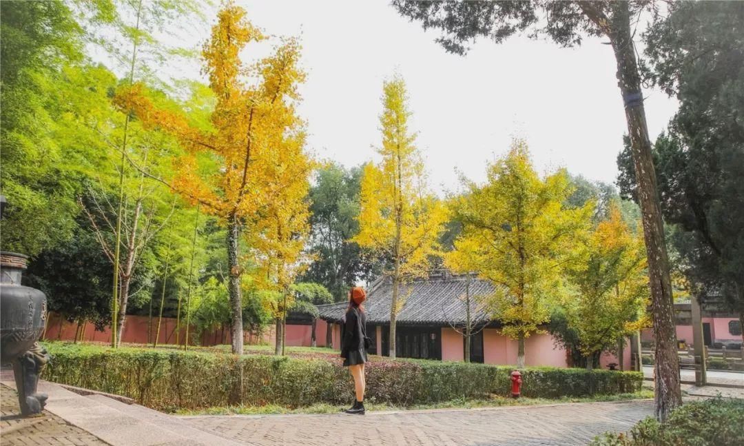 无锡高新区赏叶地图，这里藏着你不知道的最美秋色