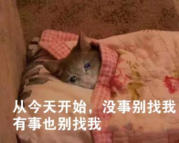 最低-25.2℃！超级寒潮暴击全国，广东、广西、海南直降超10℃！