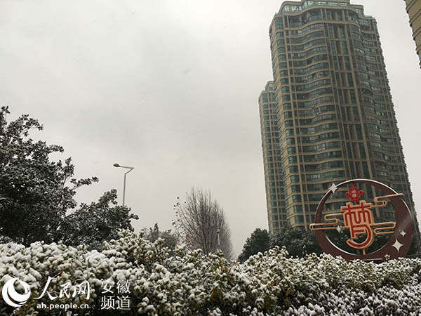 安徽发布暴雪蓝色预警 多地一夜“为雪白头”
