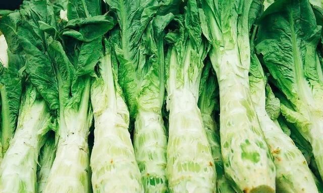  「蔬菜」北方春天吃什么时令蔬菜好？老厨师说：10种露地应季蔬菜可多吃！