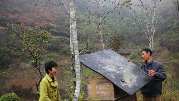 50多岁农村夫妇厌倦打工，深居山沟靠山吃山，年入10多万