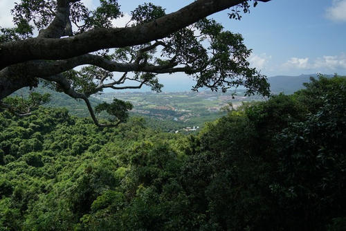 和萌宝的幸福三亚之行