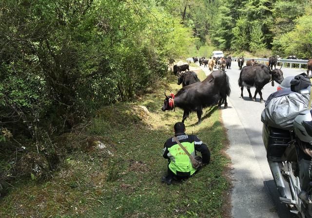 男人，总要自驾一次西藏
