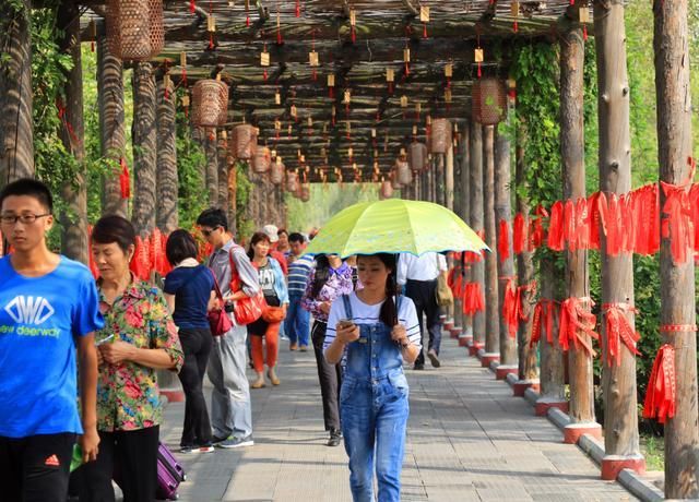 洽韵秋华 莘情无限丨文化增新色喜迎双节 旅游添新彩相约合阳洽川