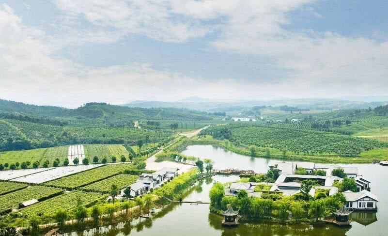  「缴清」2019年起农民得交耕地占用税，必须一次性缴清，你该交