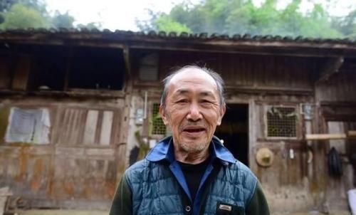 2019年养老金一次补缴15年需96511元，每月能领多少钱