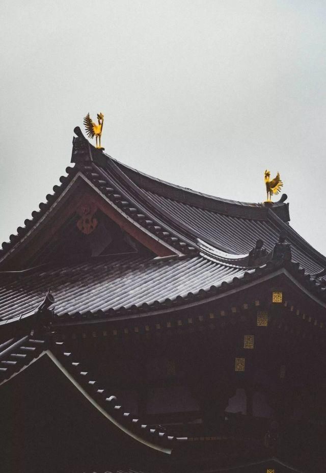 三分文艺，七分清新的国度，走进真实的霓虹国