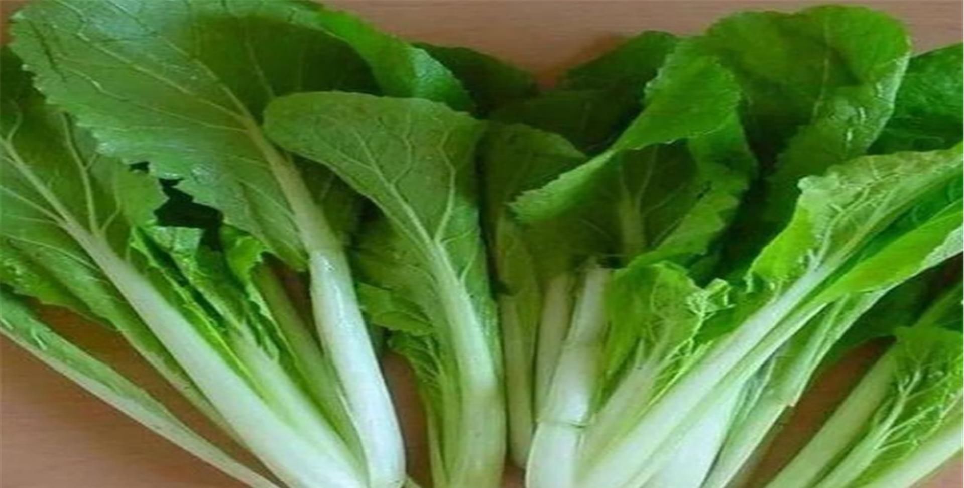  『蔬菜』想在阳台种菜？就选这五种蔬菜吧！易养又非常容易爆盆！