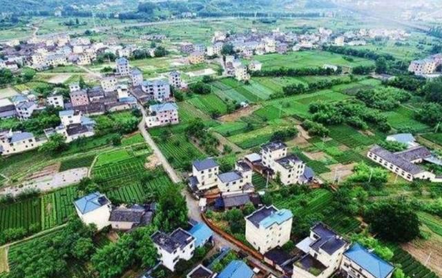  「适合」有这几种行为的不适合当“村干部”