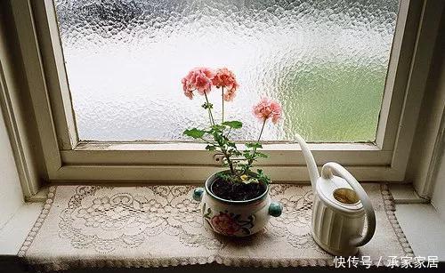  『祝花』爱养花，会养花的人，生活一定不会太差！祝花常开，祝你常笑！