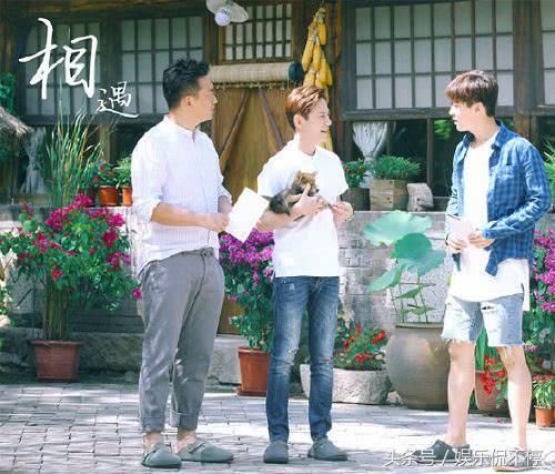 《向往2》杨颖假吃上热门，唯独他站出来发声，网友：傻鲜肉！