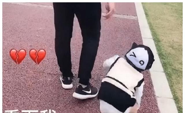  心累■“佛系老爸”带娃走红，孩子表示心累，网友：亲，建议换个爸爸哦