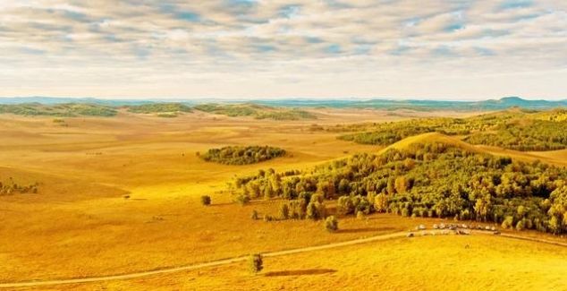 有一种美，叫秋天的乌兰布统