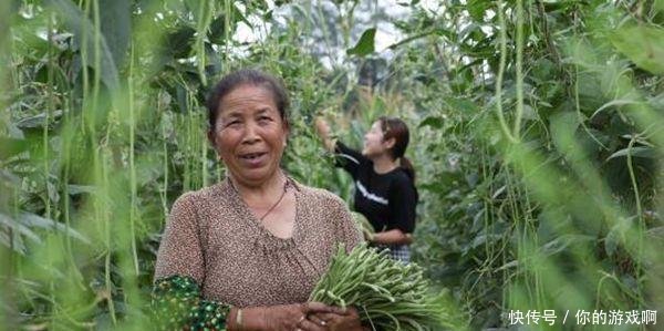  朝阳@农民注意农村出现3个“朝阳行业”，抓住机会赚得要比打工