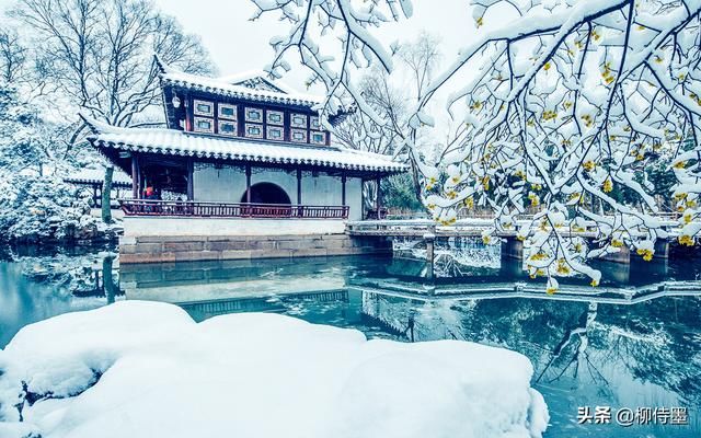 作为摄影爱好者，你觉得，什么是摄影的“艺德”？