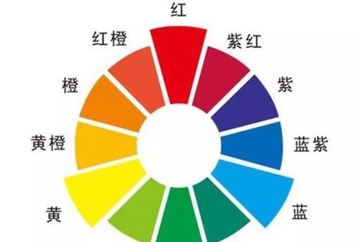  『图片作者』可以混栽的花，省了盆不说，叶子美得像是一幅画！