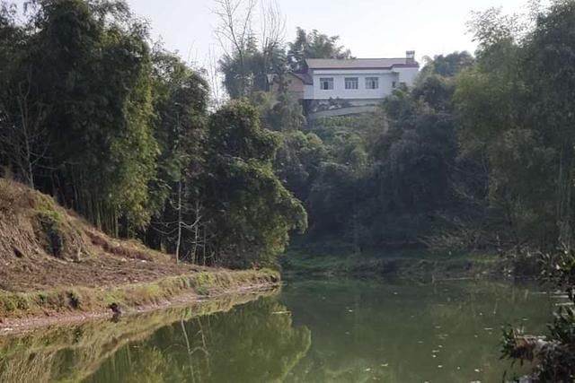  [外观]河里钓了条鱼，外观像白条鱼，嘴型像马口鱼，求鉴定，这是什么鱼