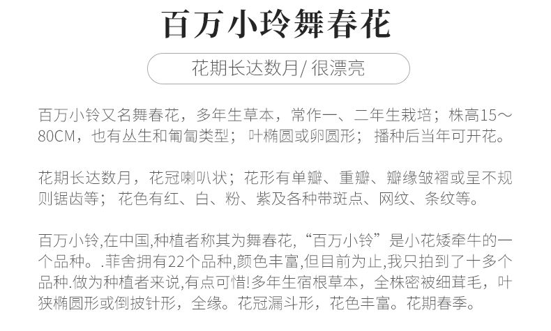  【漂亮】4种便宜的花草，最爱在春天开花，剪一茬开一茬，开得越来越漂亮！叶子也很美
