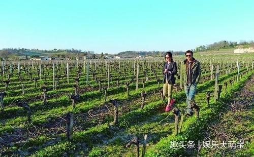 她身家80亿买下3个酒庄,生完孩子后胖成球,今