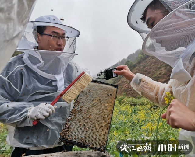  『一扫而空』刚出炉的蜂蜜一扫而空，大下姜“开蜜日”三对新人见证甜蜜开箱