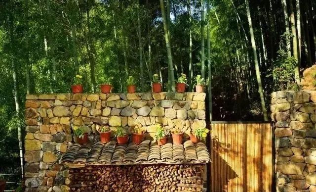  「小院」理想中的乡村小院