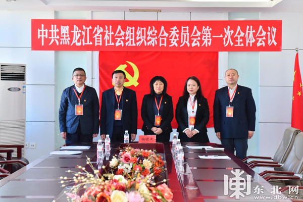 黑龙江省社会组织综合党委成立