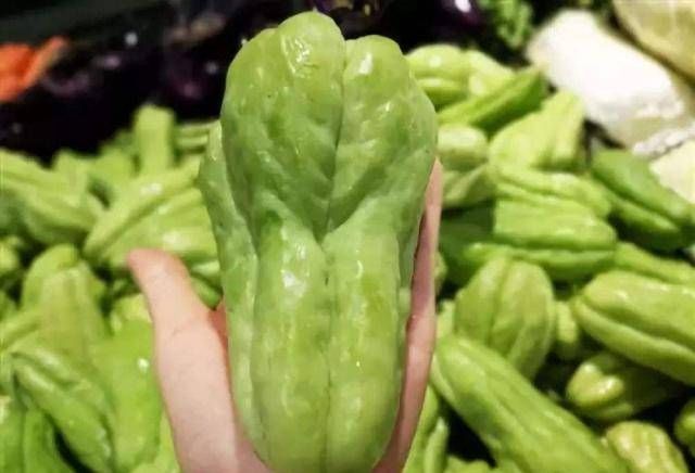  「花盆」阳台不养盆这个健康的瓜，真是可惜好花盆，现在正是栽种的时候！