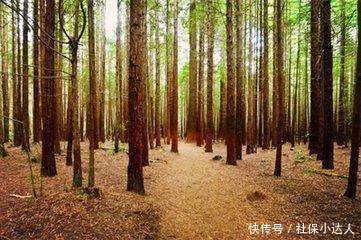  [医保]每年两三百的农保和每年三四千元的医保，有区别吗？