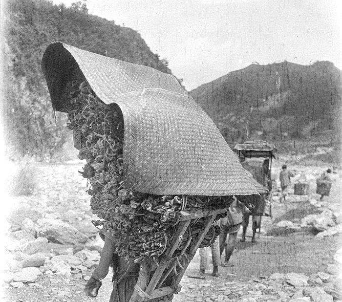 1917年一个美国人眼里的四川