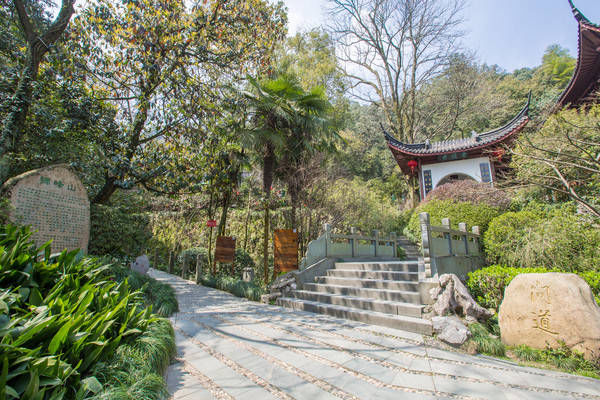 西湖最冷门的旅游路线，人少景美，一般人都不知道