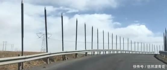 青藏线上的那些杆子是护栏还是另有作用，你知道是干嘛的吗？