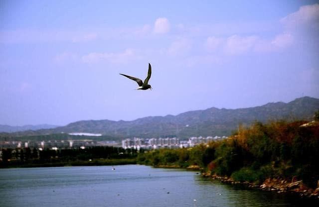 内蒙古这座城市，改名之前非常霸气，改名后缺少了原有的韵味