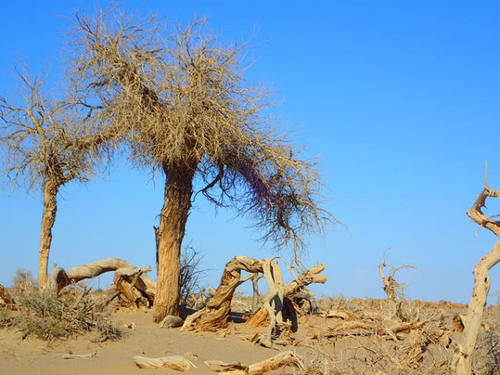  「安庆」安徽继合肥之后，又一座城市有望晋升二线，不是铜陵也