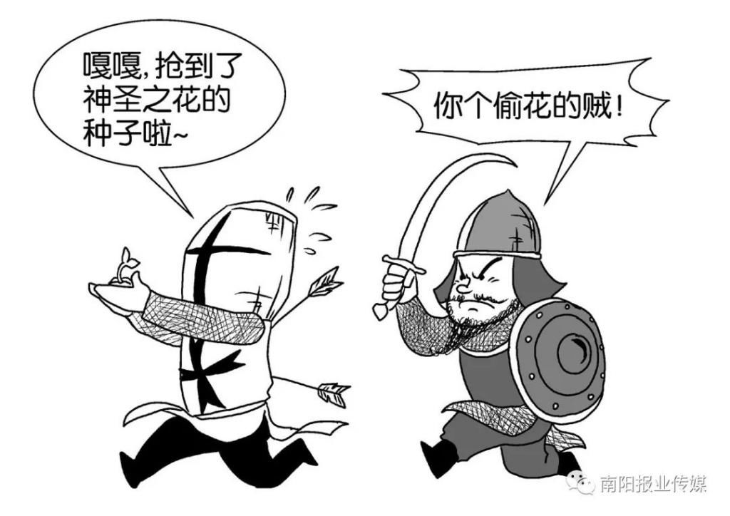  【玫瑰】哪有什么玫瑰？长哩美的都是月季！